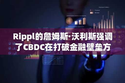 Rippl的詹姆斯·沃利斯强调了CBDC在打破金融壁垒方面的作用