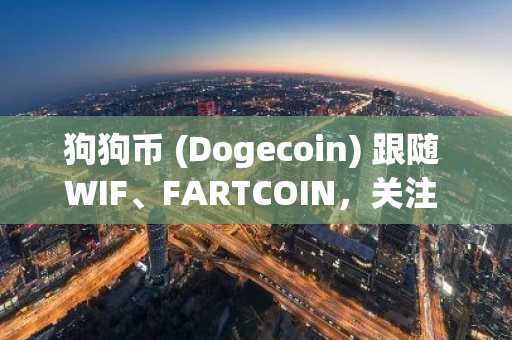 狗狗币 (Dogecoin) 跟随 WIF、FARTCOIN，关注 Solana – DOGE 也会爆发吗？
