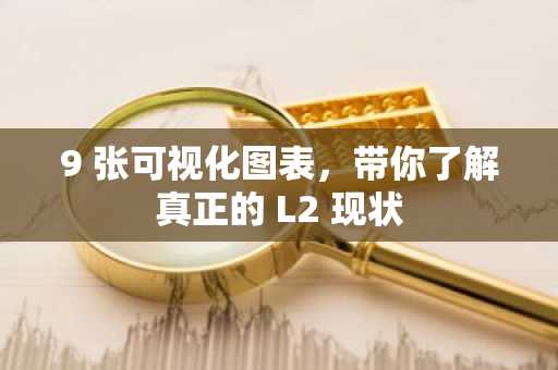 9 张可视化图表，带你了解真正的 L2 现状
