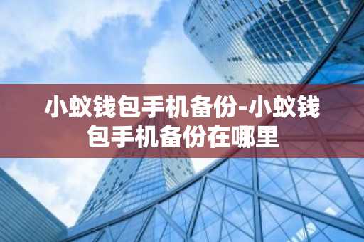 小蚁钱包手机备份-小蚁钱包手机备份在哪里
