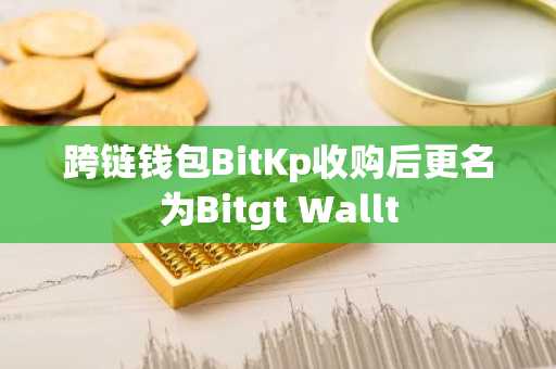 跨链钱包BitKp收购后更名为Bitgt Wallt