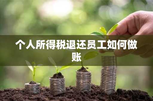 个人所得税退还员工如何做账