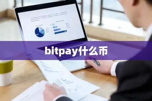 bitpay什么币
