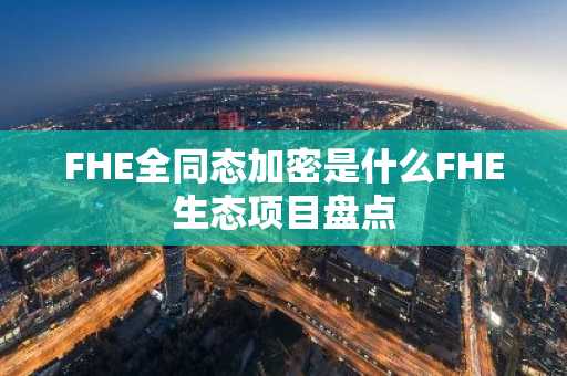FHE全同态加密是什么FHE生态项目盘点