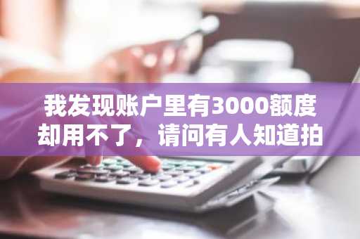 我发现账户里有3000额度却用不了，请问有人知道拍拍贷有额度为什么不能借款吗？