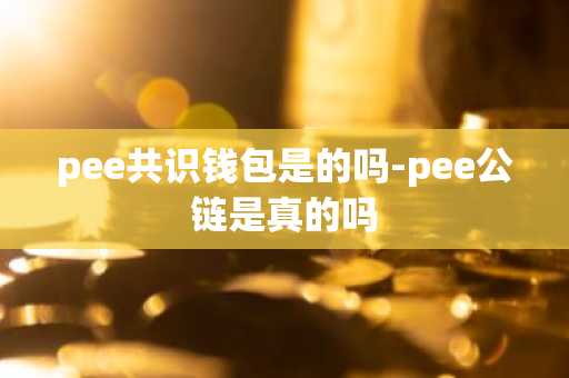 pee共识钱包是的吗-pee公链是真的吗