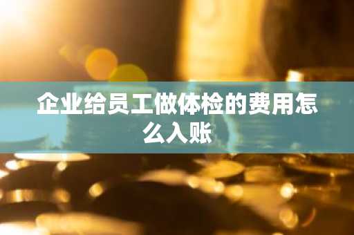 企业给员工做体检的费用怎么入账