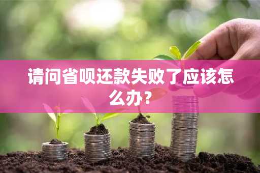 请问省呗还款失败了应该怎么办？
