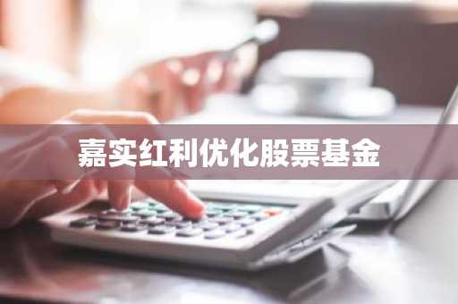 嘉实红利优化股票基金