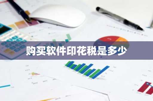 购买软件印花税是多少