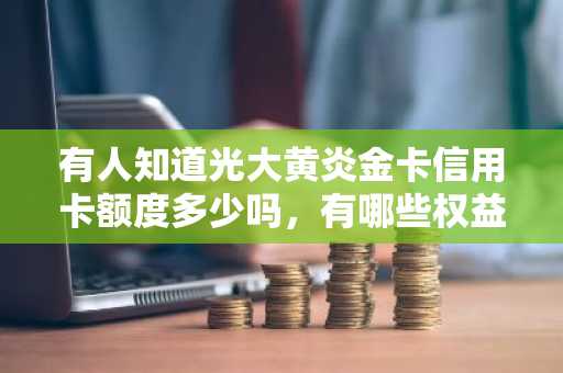 有人知道光大黄炎金卡信用卡额度多少吗，有哪些权益？