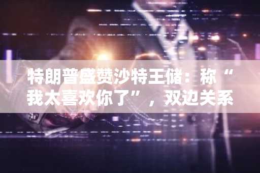 特朗普盛赞沙特王储：称“我太喜欢你了”，双边关系再升温
