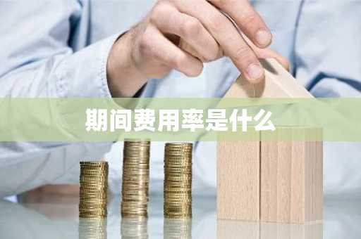 期间费用率是什么