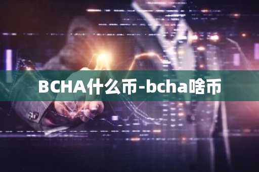 BCHA什么币-bcha啥币