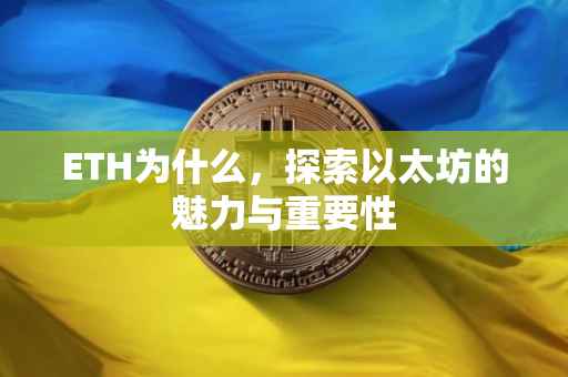ETH为什么，探索以太坊的魅力与重要性