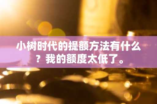 小树时代的提额方法有什么？我的额度太低了。