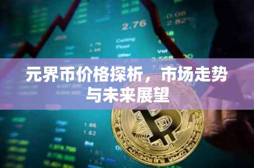 元界币价格探析，市场走势与未来展望
