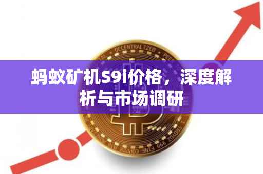 蚂蚁矿机S9i价格，深度解析与市场调研