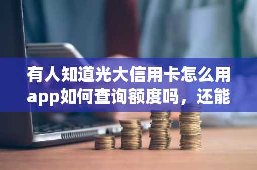 有人知道光大信用卡怎么用app如何查询额度吗，还能怎么查啊？