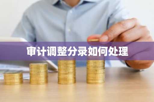 审计调整分录如何处理
