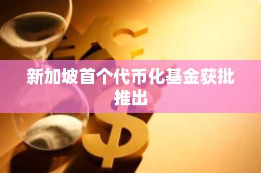 新加坡首个代币化基金获批推出