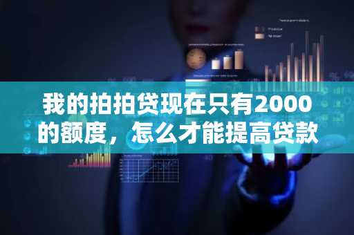 我的拍拍贷现在只有2000的额度，怎么才能提高贷款额度啊？
