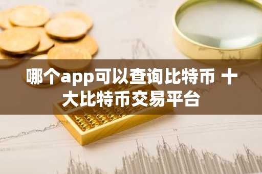 哪个app可以查询比特币 十大比特币交易平台