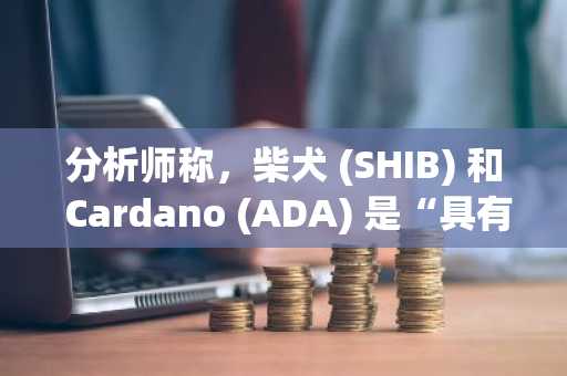 分析师称，柴犬 (SHIB) 和 Cardano (ADA) 是“具有 100 倍潜力的宝石”