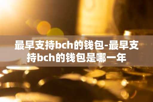 最早支持bch的钱包-最早支持bch的钱包是哪一年