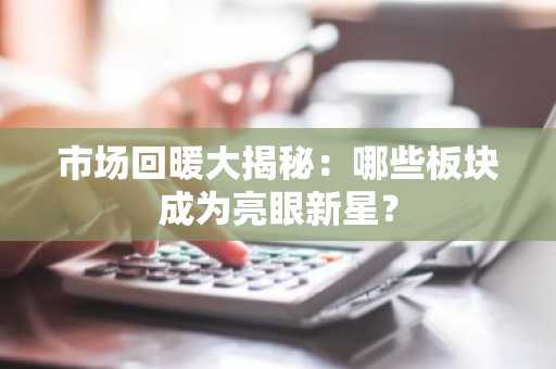 市场回暖大揭秘：哪些板块成为亮眼新星？