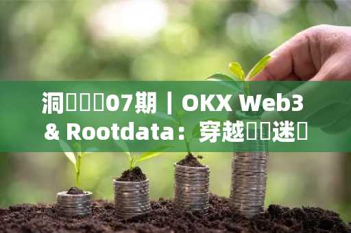 洞見數據07期｜OKX Web3 & Rootdata：穿越資訊迷霧，建立系統化數據方法論