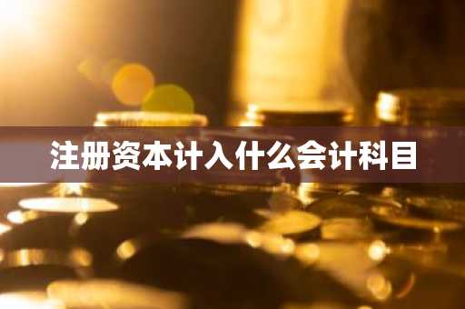 注册资本计入什么会计科目