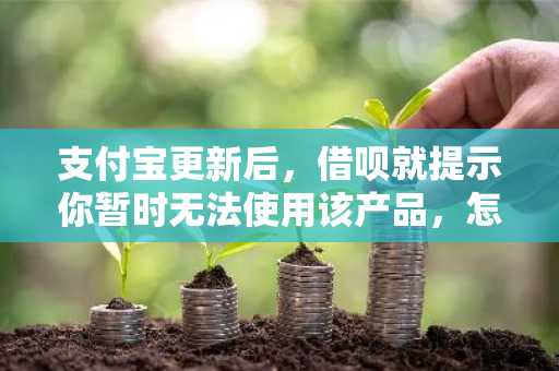 支付宝更新后，借呗就提示你暂时无法使用该产品，怎么回事？有人解答吗。