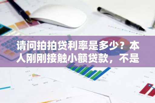 请问拍拍贷利率是多少？本人刚刚接触小额贷款，不是很了解。