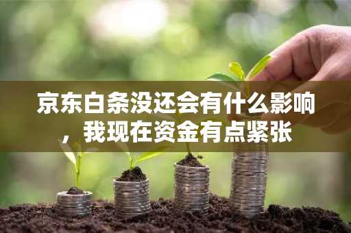 京东白条没还会有什么影响，我现在资金有点紧张