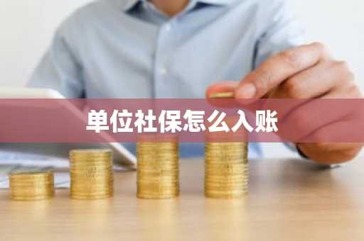 单位社保怎么入账