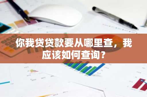 你我贷贷款要从哪里查，我应该如何查询？