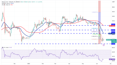 BNB今日最新行情 币安币今日最新行情解析