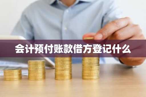 会计预付账款借方登记什么