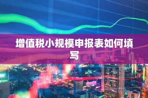 增值税小规模申报表如何填写