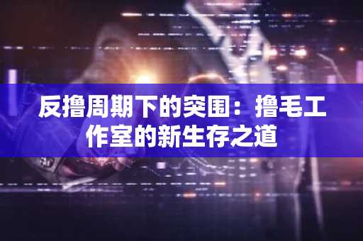 反撸周期下的突围：撸毛工作室的新生存之道