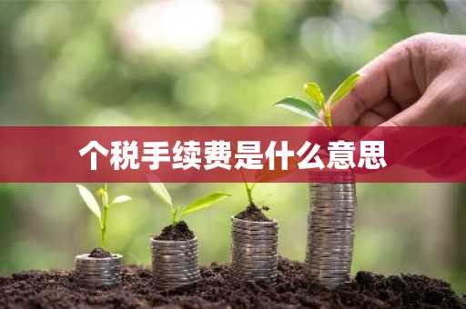 个税手续费是什么意思