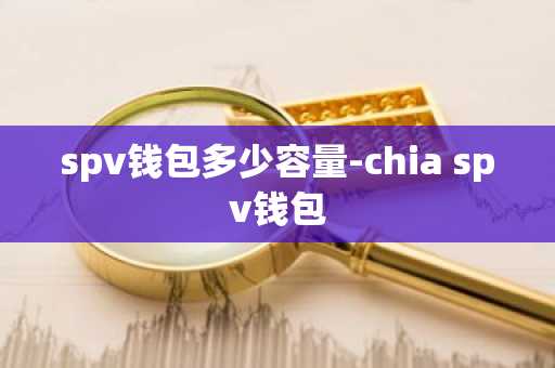 spv钱包多少容量-chia spv钱包