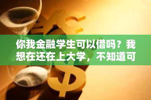 你我金融学生可以借吗？我想在还在上大学，不知道可不可以借款。
