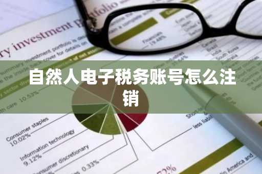 自然人电子税务账号怎么注销
