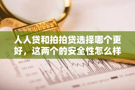 人人贷和拍拍贷选择哪个更好，这两个的安全性怎么样？