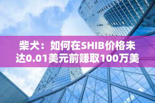 柴犬：如何在SHIB价格未达0.01美元前赚取100万美元