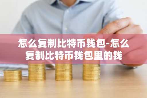 怎么复制比特币钱包-怎么复制比特币钱包里的钱