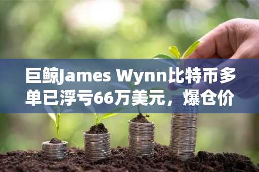 巨鲸James Wynn比特币多单已浮亏66万美元，爆仓价103,340美元