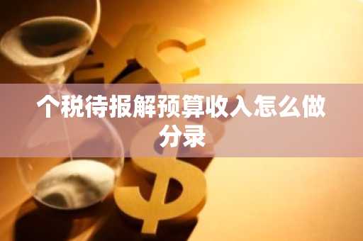个税待报解预算收入怎么做分录